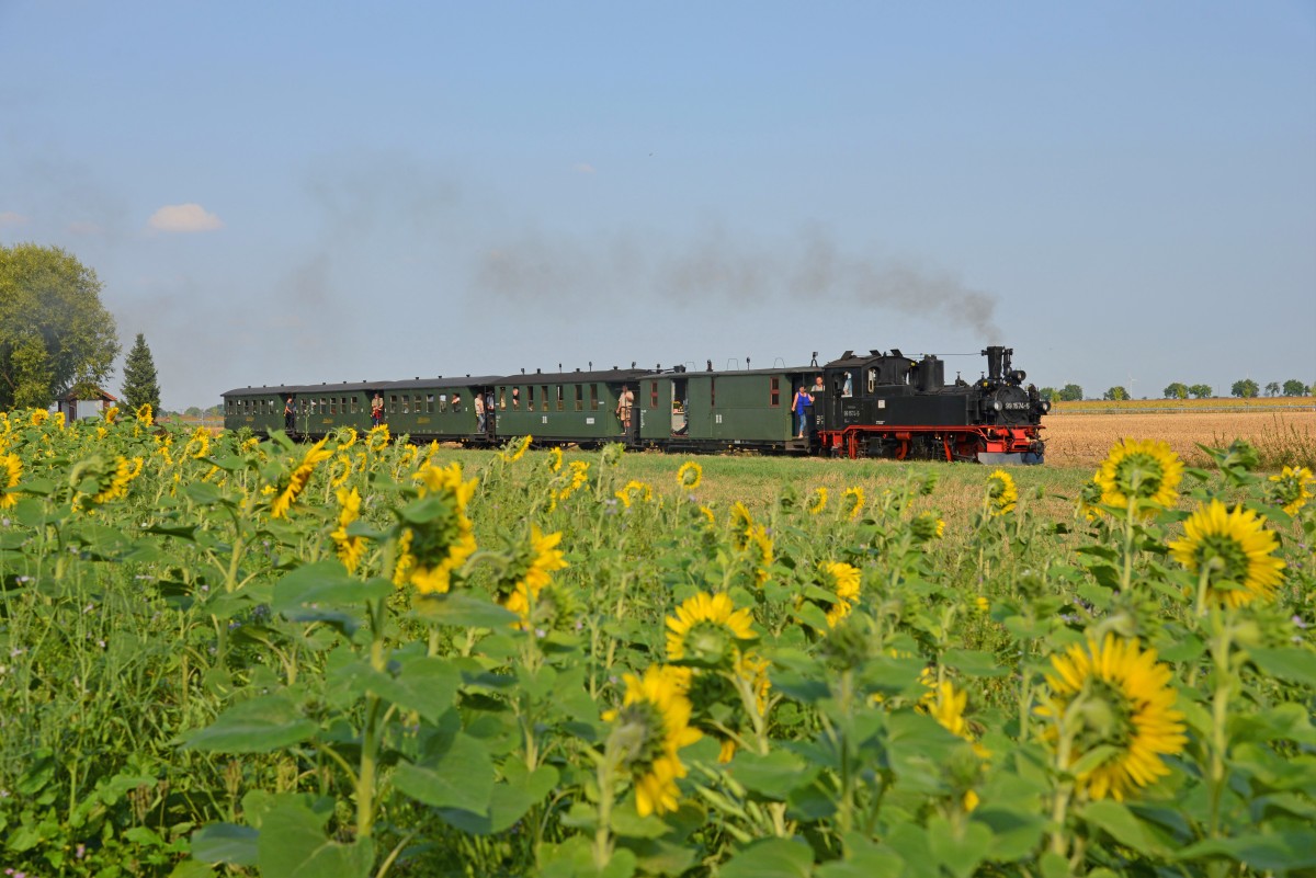 Dampfzug der Döllnitzbahn bei Schweta &copy; CHRISTIAN SACHER
