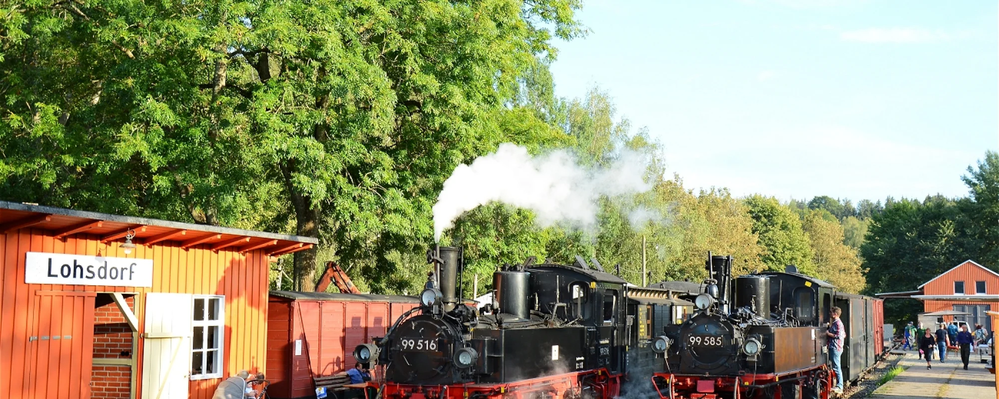 schwarzbachbahn_e.v._banner_bahn_80_2.jpg