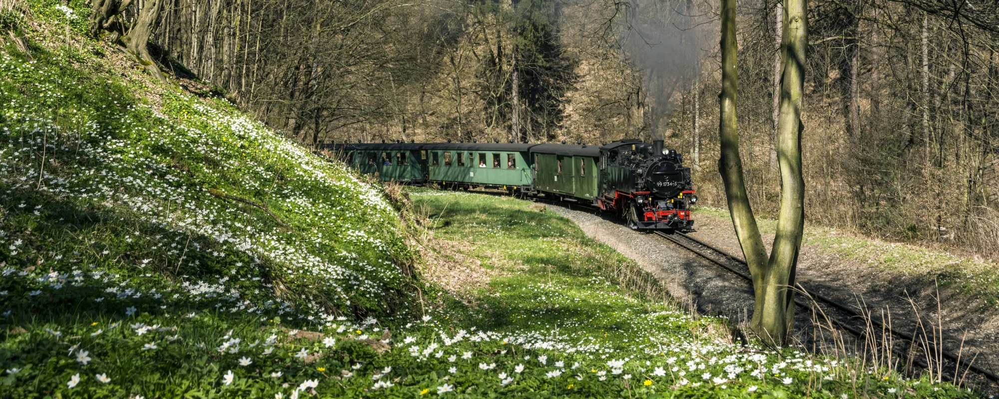 Wei&szlig;eritztalbahn im Rabenauer Grund